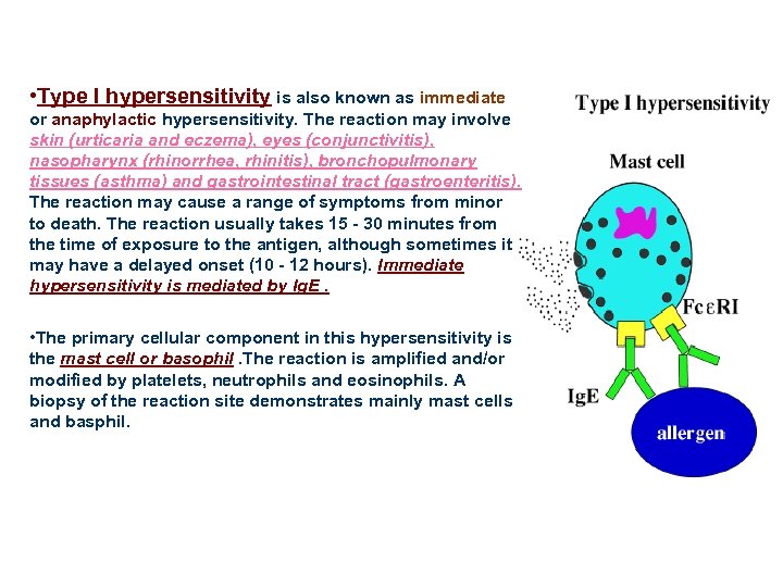  • Type I hypersensitivity is also known as immediate or anaphylactic hypersensitivity. The
