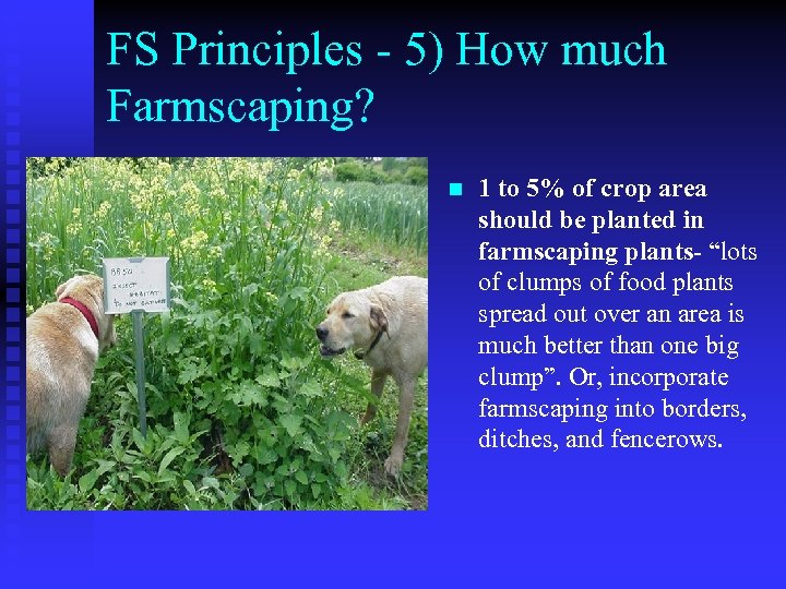 FS Principles - 5) How much Farmscaping? n 1 to 5% of crop area