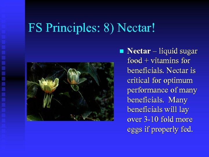 FS Principles: 8) Nectar! n Nectar – liquid sugar food + vitamins for beneficials.