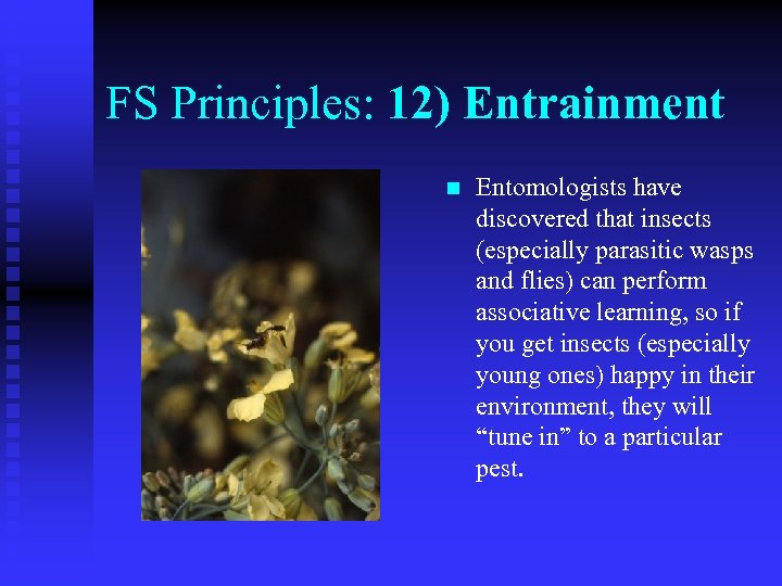 FS Principles: 12) Entrainment n Entomologists have discovered that insects (especially parasitic wasps and