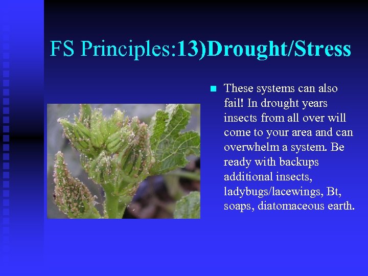 FS Principles: 13)Drought/Stress n These systems can also fail! In drought years insects from