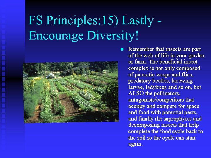 FS Principles: 15) Lastly Encourage Diversity! n Remember that insects are part of the