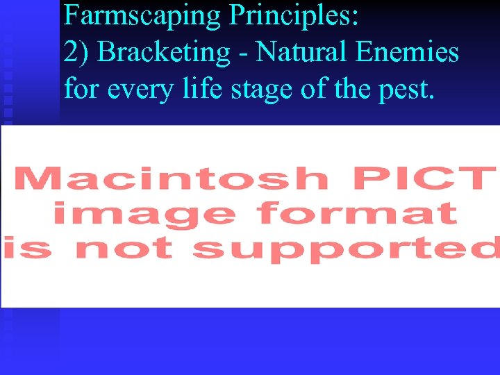 Farmscaping Principles: 2) Bracketing - Natural Enemies for every life stage of the pest.