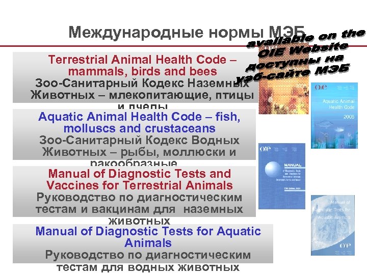 Международные нормы МЭБ Terrestrial Animal Health Code – mammals, birds and bees Зоо-Санитарный Кодекс
