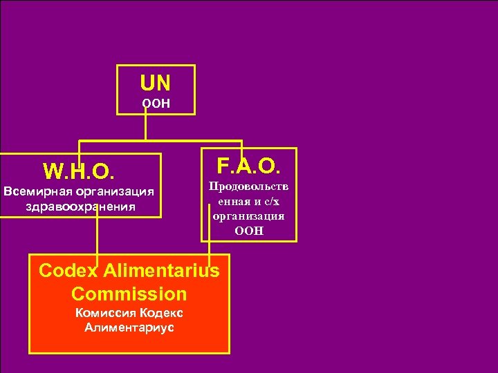 UN ООН W. H. O. Всемирная организация здравоохранения F. A. O. Продовольств енная и