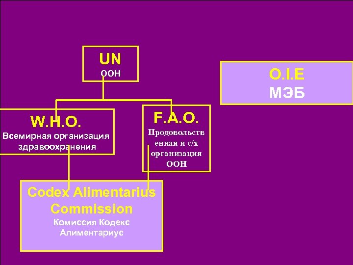 UN O. I. E МЭБ ООН W. H. O. Всемирная организация здравоохранения F. A.