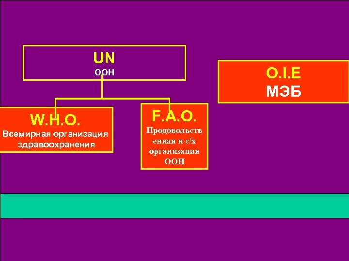 UN O. I. E МЭБ ООН W. H. O. Всемирная организация здравоохранения F. A.