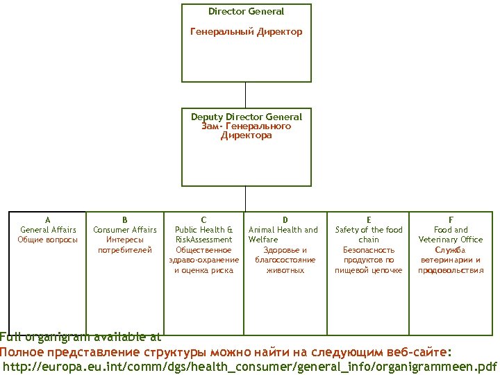 Director General Генеральный Директор Deputy Director General Зам- Генерального Директора A General Affairs Общие