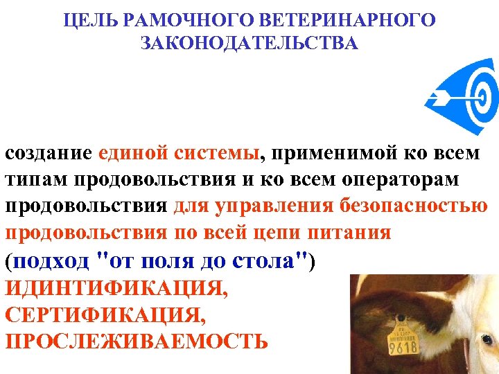 ЦЕЛЬ РАМОЧНОГО ВЕТЕРИНАРНОГО ЗАКОНОДАТЕЛЬСТВА создание единой системы, применимой ко всем типам продовольствия и ко