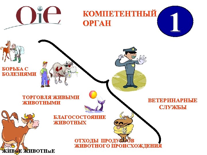 Компетентные органы