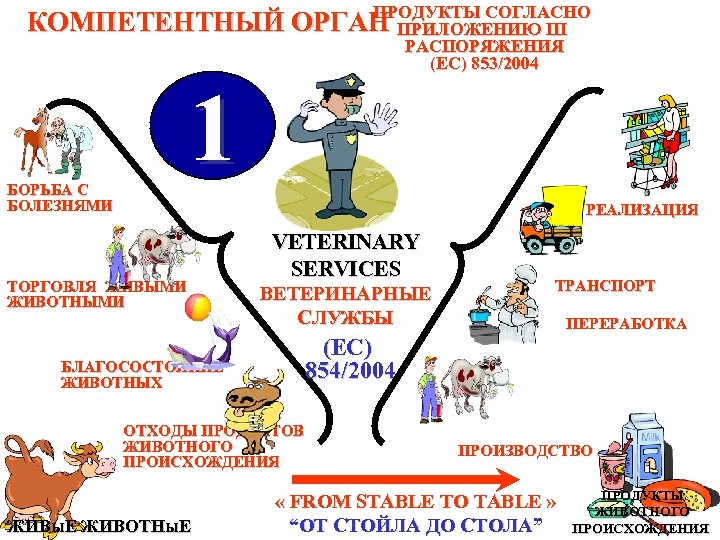 ПРОДУКТЫ СОГЛАСНО КОМПЕТЕНТНЫЙ ОРГАН ПРИЛОЖЕНИЮ ІІІ РАСПОРЯЖЕНИЯ (EC) 853/2004 БОРЬБА С БОЛЕЗНЯМИ 1 РЕАЛИЗАЦИЯ