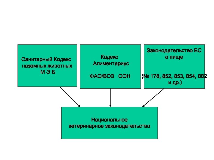 Санитарный Кодекс наземных животных МЭБ Кодекс Алиментариус ФАО/ВОЗ ООН Законодательство ЕС о пище (№