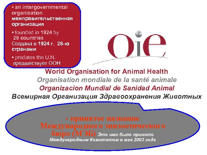  • an intergovernmental organisation межправительственная организация • founded in 1924 by 28 countries