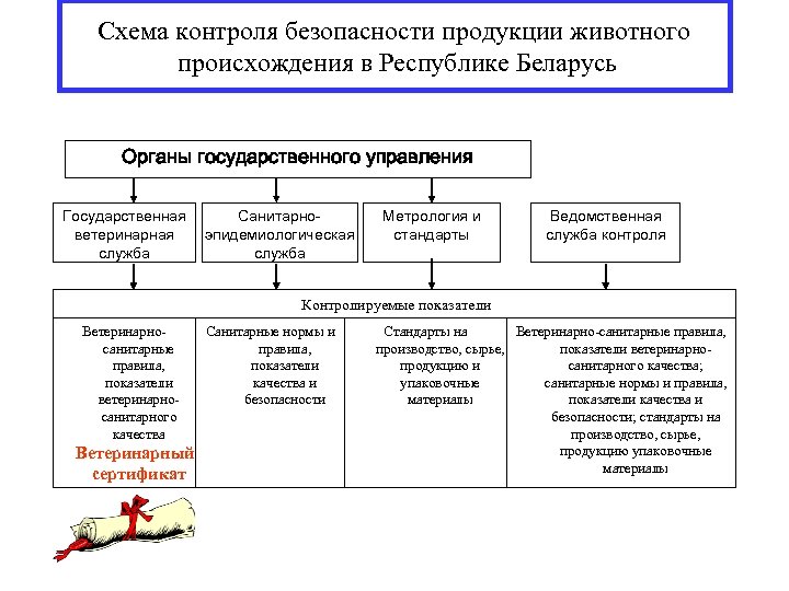 Ветеринарный контроль схема