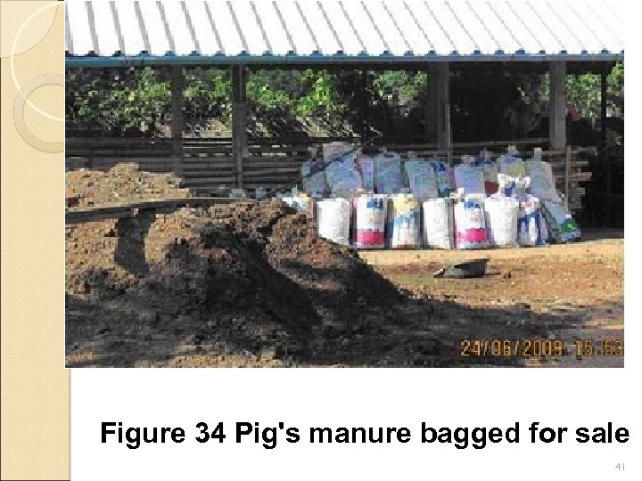 Figure 34 Pig's manure bagged for sale 41 