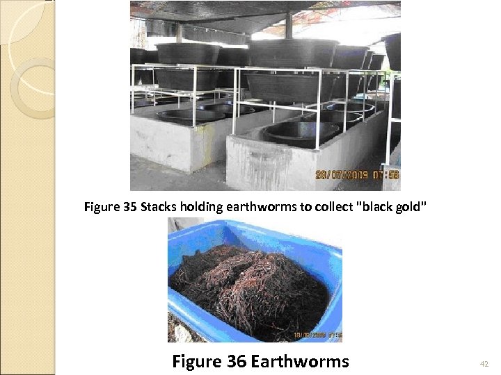 Figure 35 Stacks holding earthworms to collect 