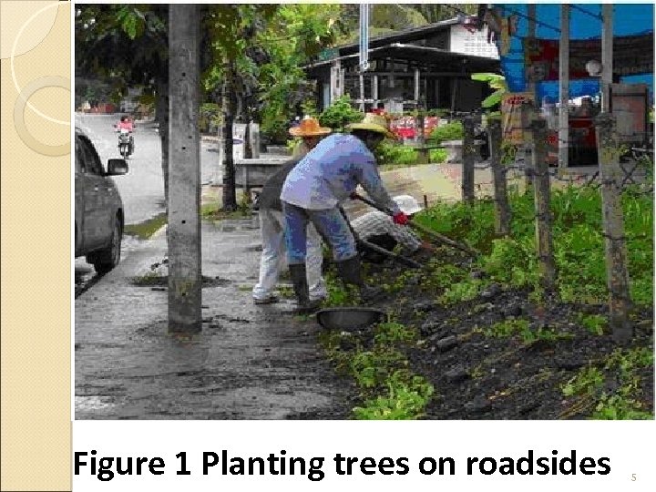 Figure 1 Planting trees on roadsides 5 