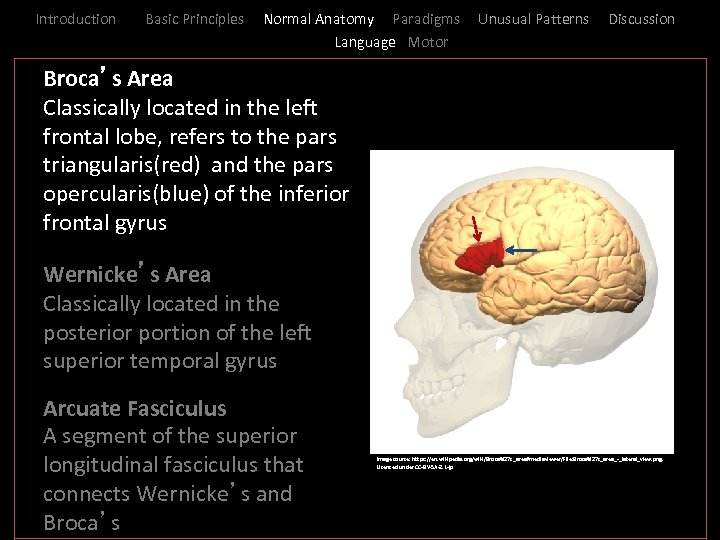 Introduction Basic Principles Normal Anatomy Paradigms Language Motor Unusual Patterns Discussion _ Broca’s Area