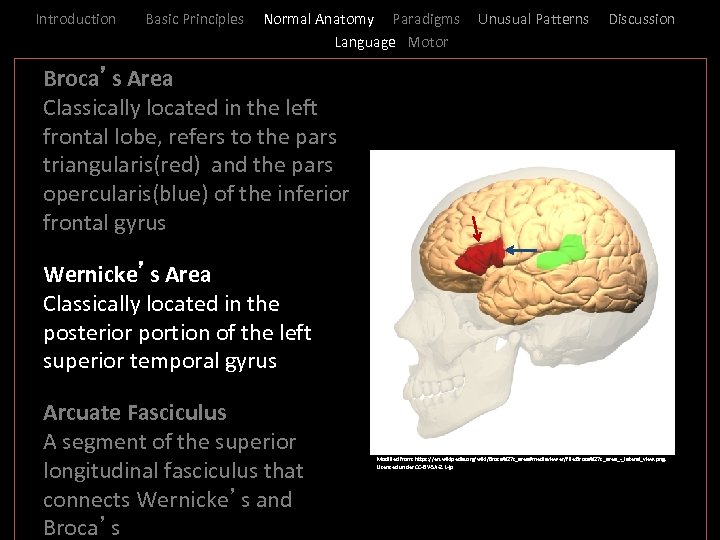 Introduction Basic Principles Normal Anatomy Paradigms Language Motor Unusual Patterns Discussion _ Broca’s Area