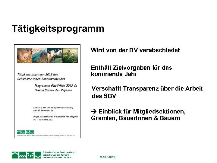 Tätigkeitsprogramm Wird von der DV verabschiedet Enthält Zielvorgaben für das kommende Jahr Verschafft Transparenz