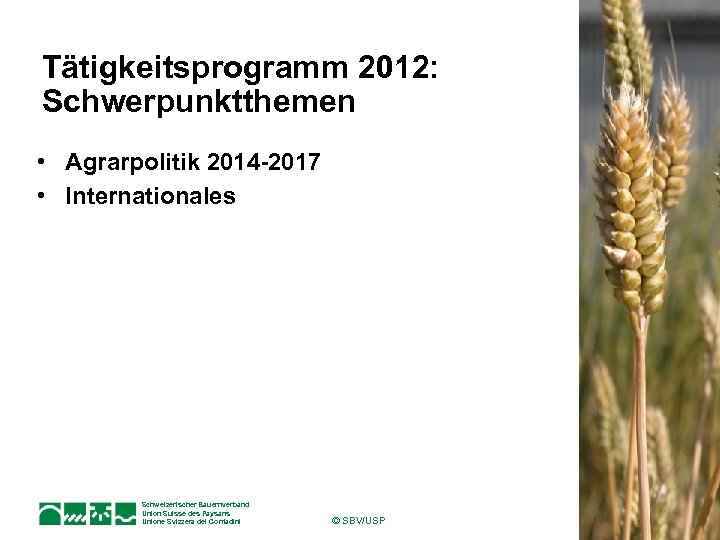 Tätigkeitsprogramm 2012: Schwerpunktthemen • Agrarpolitik 2014 -2017 • Internationales Schweizerischer Bauernverband Union Suisse des