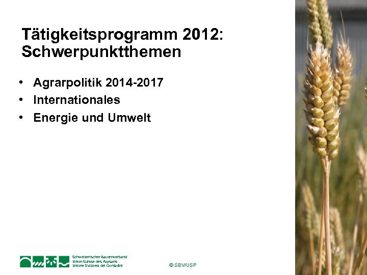 Tätigkeitsprogramm 2012: Schwerpunktthemen • Agrarpolitik 2014 -2017 • Internationales • Energie und Umwelt Schweizerischer