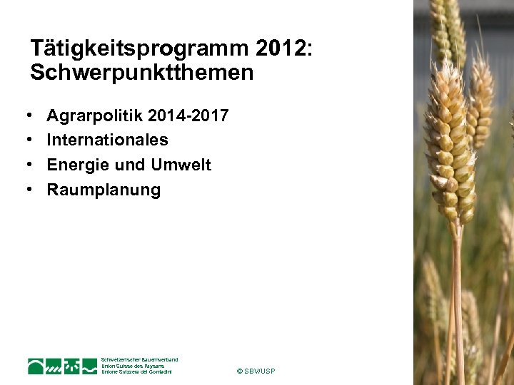 Tätigkeitsprogramm 2012: Schwerpunktthemen • • Agrarpolitik 2014 -2017 Internationales Energie und Umwelt Raumplanung Schweizerischer