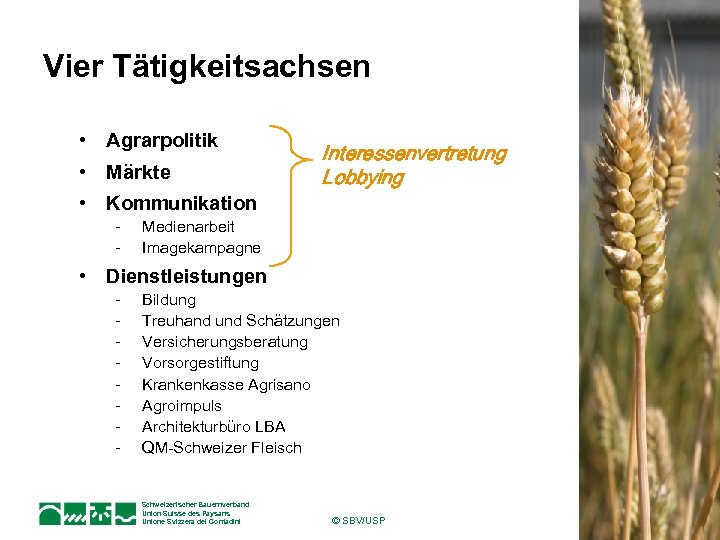 Vier Tätigkeitsachsen • Agrarpolitik • Märkte Interessenvertretung Lobbying • Kommunikation - Medienarbeit Imagekampagne •