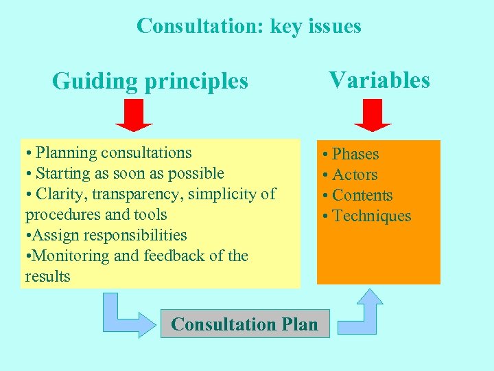Consultation: key issues Guiding principles • Planning consultations • Starting as soon as possible