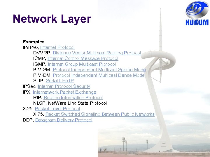 Network Layer Examples IP/IPv 6, Internet Protocol DVMRP, Distance Vector Multicast Routing Protocol ICMP,