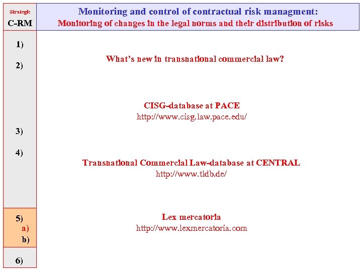 Strategic C-RM Monitoring and control of contractual risk managment: Monitoring of changes in the