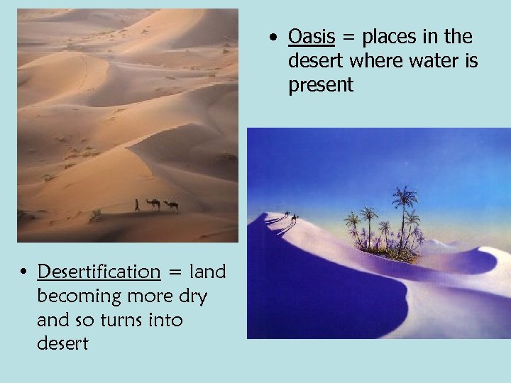  • Oasis = places in the desert where water is present • Desertification
