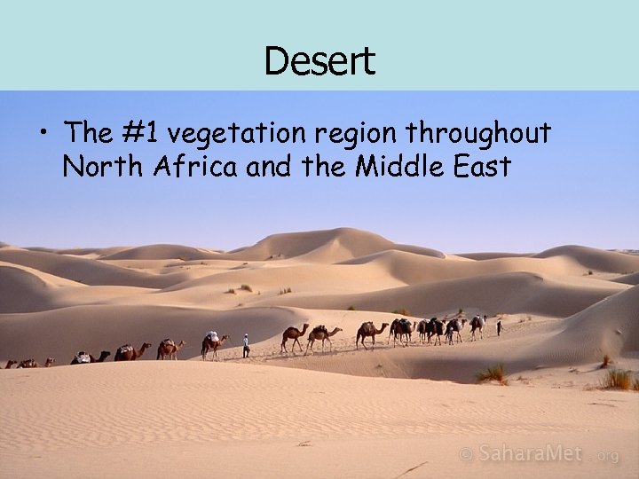 Desert • The #1 vegetation region throughout North Africa and the Middle East 