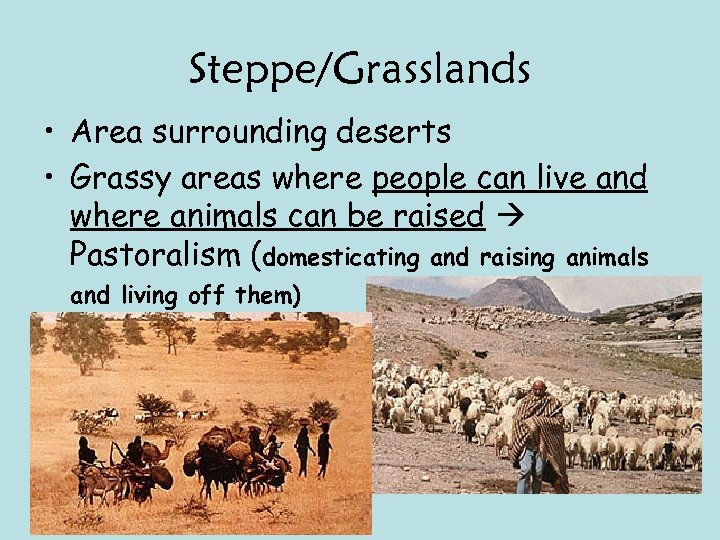 Steppe/Grasslands • Area surrounding deserts • Grassy areas where people can live and where