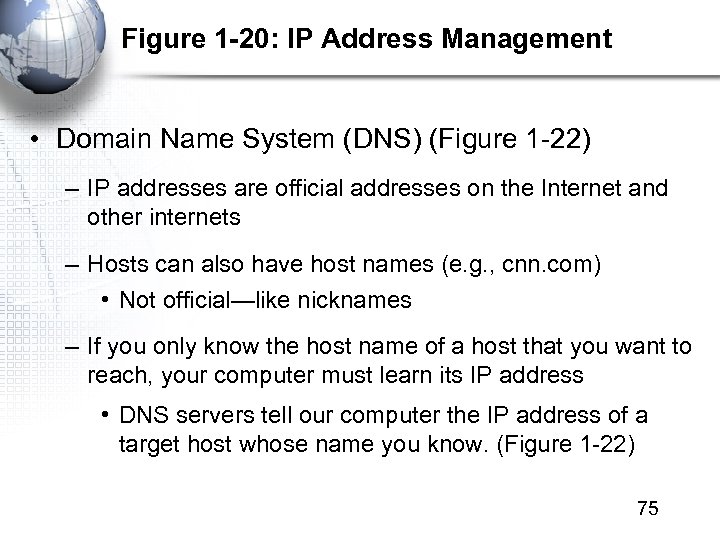 Figure 1 -20: IP Address Management • Domain Name System (DNS) (Figure 1 -22)