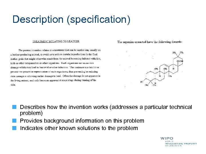 Description (specification) Describes how the invention works (addresses a particular technical problem) Provides background