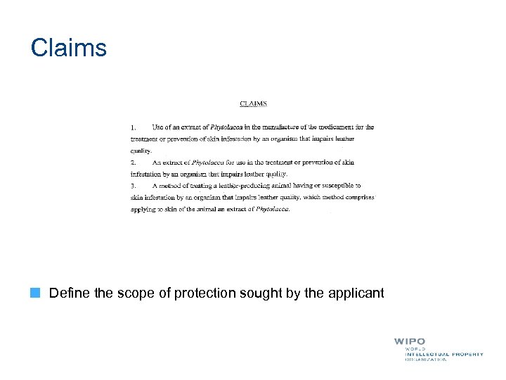 Claims Define the scope of protection sought by the applicant 