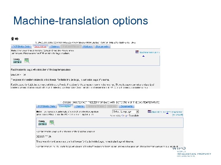 Machine-translation options 