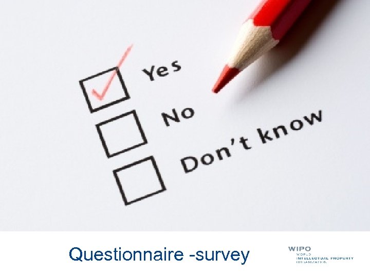  Questionnaire -survey 