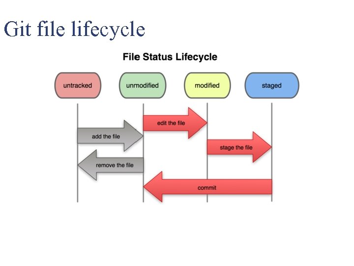 Git file lifecycle 