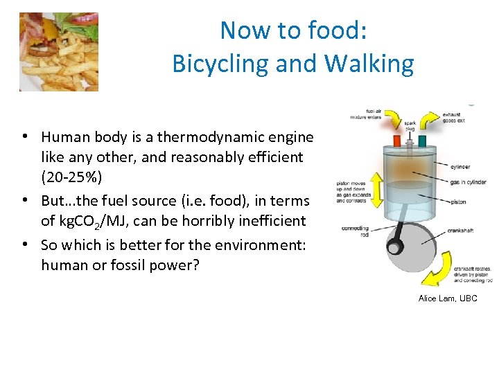 Now to food: Bicycling and Walking • Human body is a thermodynamic engine like