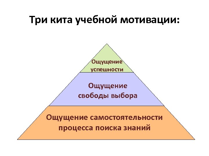 Три кита учебной мотивации: Ощущение успешности Ощущение свободы выбора Ощущение самостоятельности процесса поиска знаний