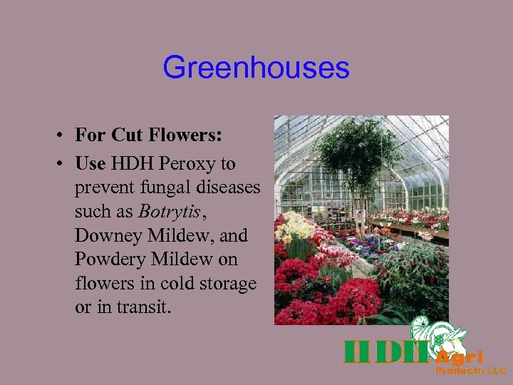 Greenhouses • For Cut Flowers: • Use HDH Peroxy to prevent fungal diseases such