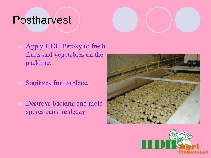 Postharvest l Apply HDH Peroxy to fresh fruits and vegetables on the packline. l
