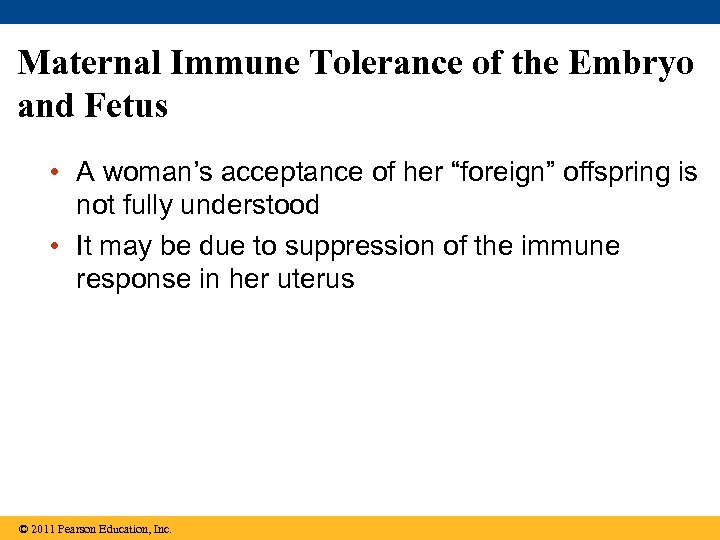 Maternal Immune Tolerance of the Embryo and Fetus • A woman’s acceptance of her