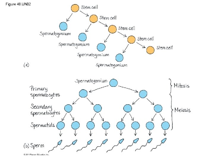 Figure 46. UN 02 