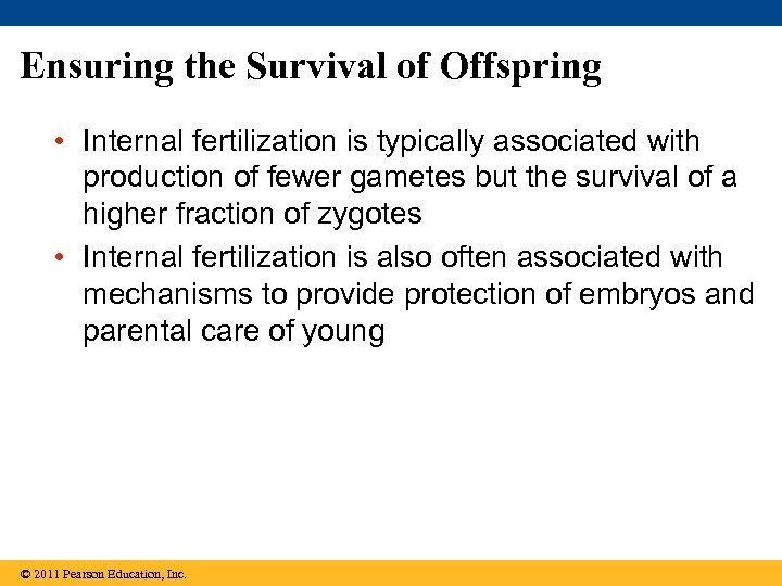 Ensuring the Survival of Offspring • Internal fertilization is typically associated with production of