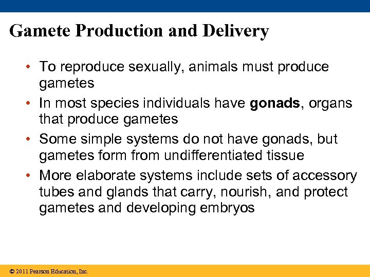 Gamete Production and Delivery • To reproduce sexually, animals must produce gametes • In