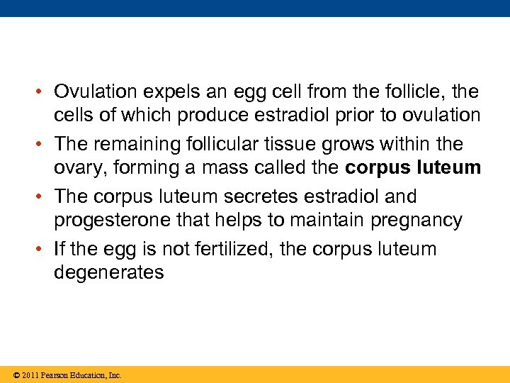  • Ovulation expels an egg cell from the follicle, the cells of which