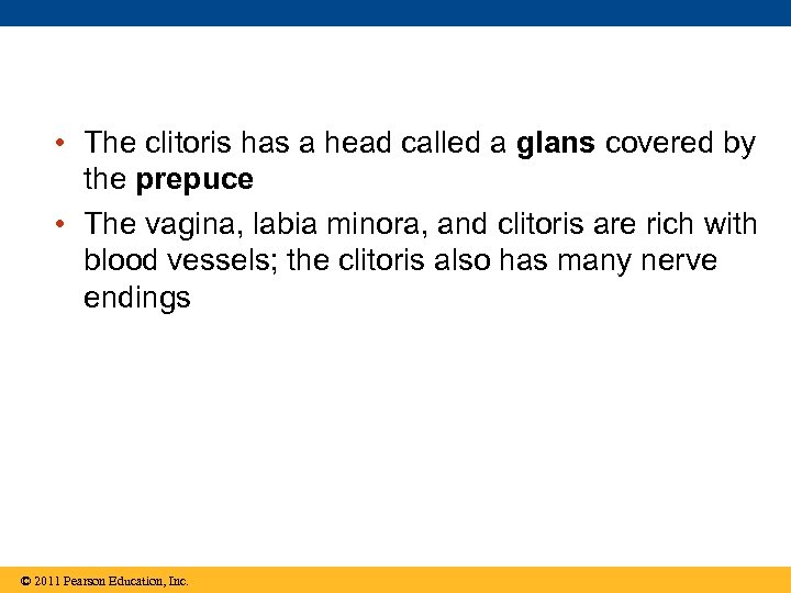  • The clitoris has a head called a glans covered by the prepuce